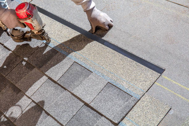 Best Storm Damage Roof Repair  in Palestine, TX